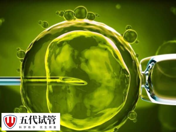 子宫内膜厚会影响胚胎的着床率