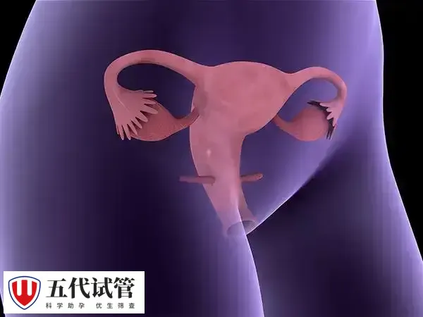 子宫内膜厚会影响胚胎着床率