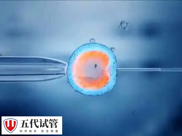 促排期间孕酮低会影响受孕